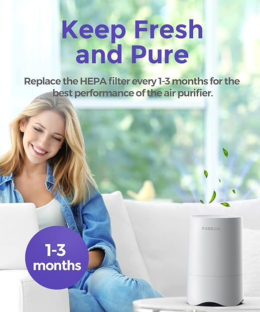 1-Year Pack Air Purifier Replacement Filter for AP001R & AP002R, True HEPA Filter, 4 Pack