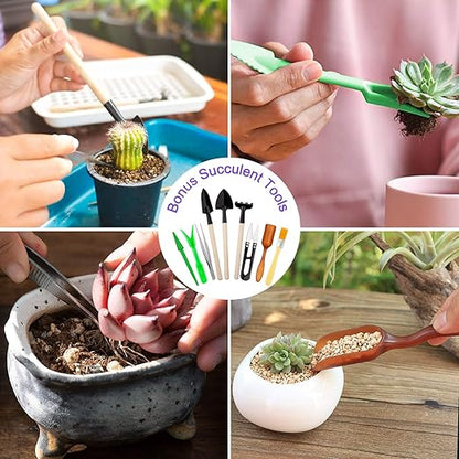 Garden Tools Set 83 Piece, Succulent Tools Set Included, Heavy Duty Aluminum Gardening Tools for Gardening, Non-Slip Ergonomic Handle, Durable Storage Tote Bag