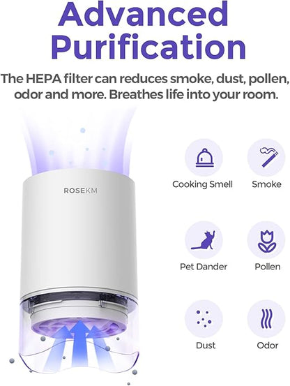 1-Year Pack Air Purifier Replacement Filter for AP001R & AP002R, True HEPA Filter, 4 Pack