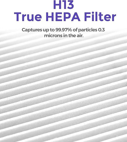 1-Year Pack Air Purifier Replacement Filter for AP001R & AP002R, True HEPA Filter, 4 Pack
